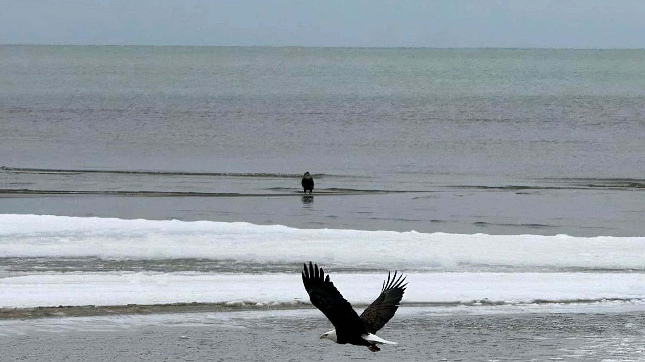 Environmental Banner